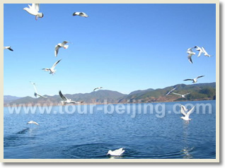 Xining Lhasa 7 Days Train Tour 